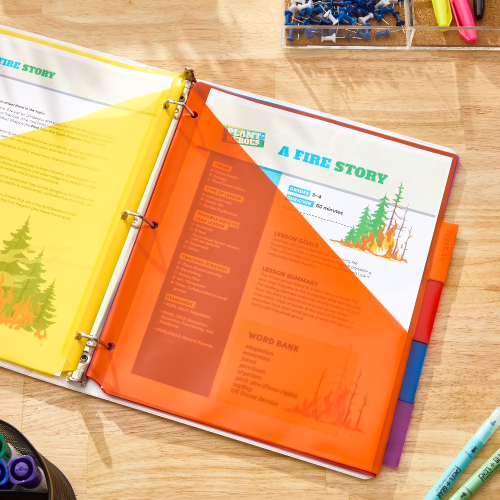 Vibrant Color Index Tab Divide - Tab Divider A4 review and price