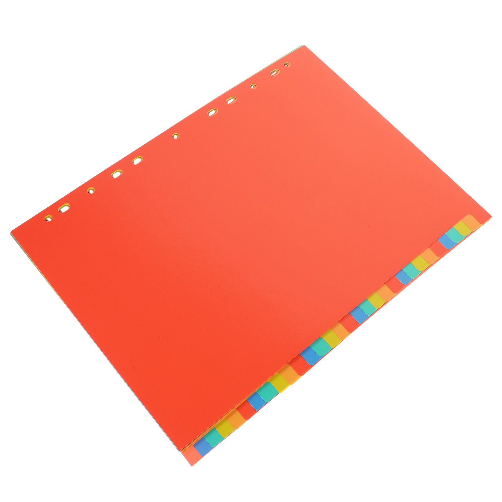 31 Sheets A4 Reinforced Binder - Tab Divider A4 review and price