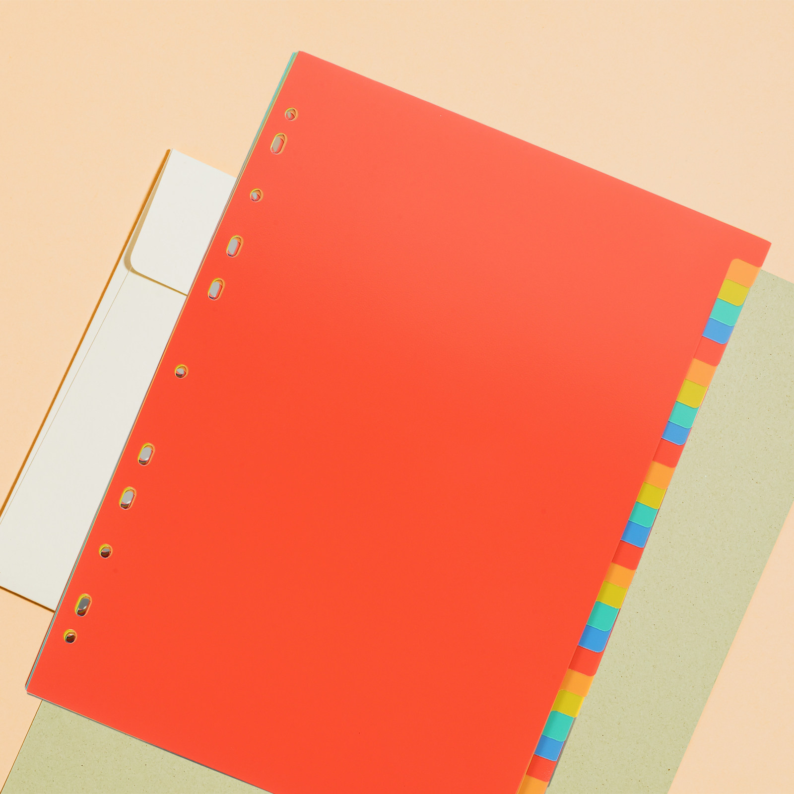 31 Sheets A4 Reinforced Binder - Tab Divider A4 review and price