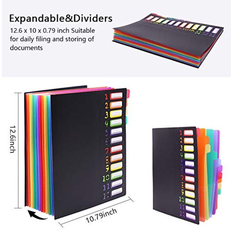Edufun Rainbow Tab Expanding F - Tab Divider A4 review and price