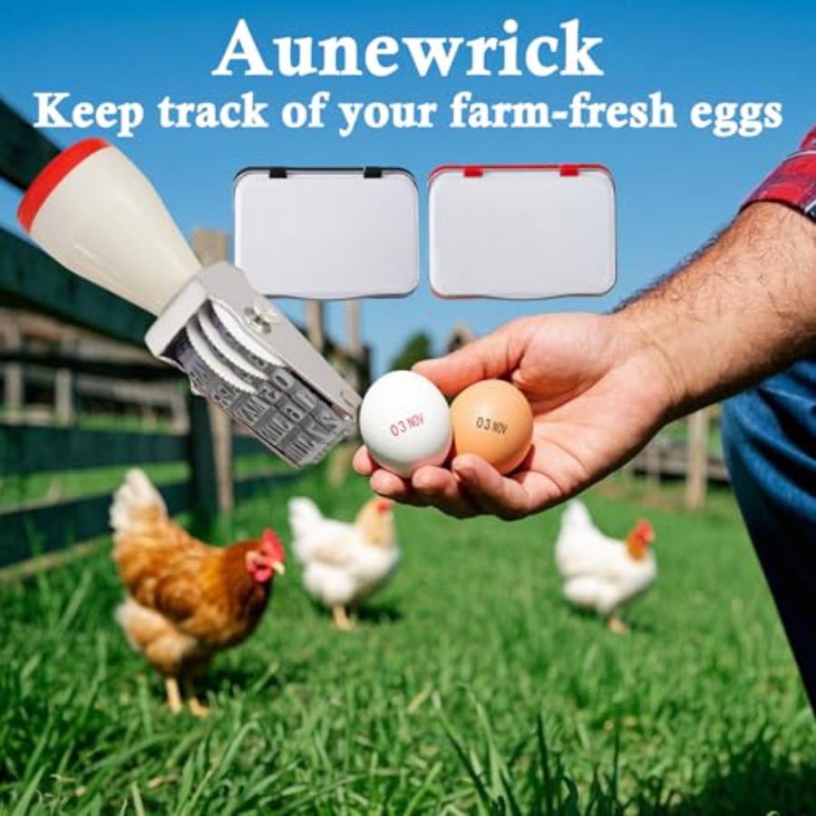 Egg Date Stamp Kit with Ink Pa - Rubber Date Stamp review and price